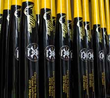 Buyers Guide on Wood Trophy Bats